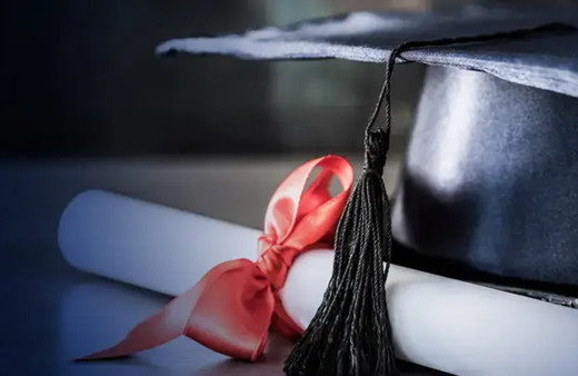 Devlet sistemlerine sızıp gerçek diploma hazırlamışlar!