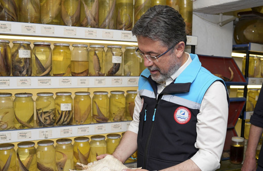 Bakan İbrahim Yumaklı "2025 yılı için müjde verelim" diyerek duyurdu! Ay sonu hesaplarda...