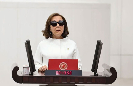 AK Parti'yi katılan Prof. Serap Özbudun Anayasa komisyonuna alınmayınca dalga konusu oldu