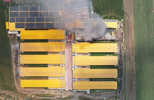 Ankara'da yumurta üretim tesisinde yangın çıktı! Bir kümeste 140 binden fazla tavuk...