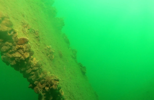 Sapanca Gölü'ne düşen uçağın enkazı 53 yıl sonra yeniden görüntülendi