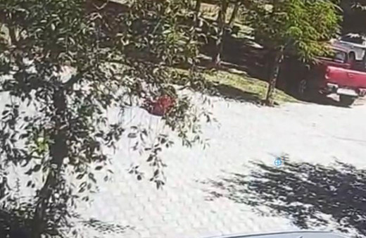 Başıboş köpeklerin saldırdığı çocuk vatandaşın yardımıyla kurtarıldı