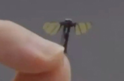 Çin'de sivrisinek boyutunda keşif ve muharebe İHA'sı geliştirildi