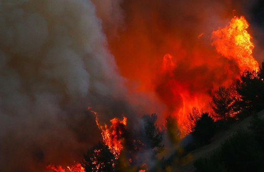 Bakan Yumaklı 'çoğu dikkatsizlikten' dedi uyardı: Atmayın...