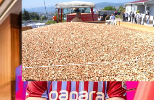 TMO, 1 milyon tonun üzerinde hububat aldı