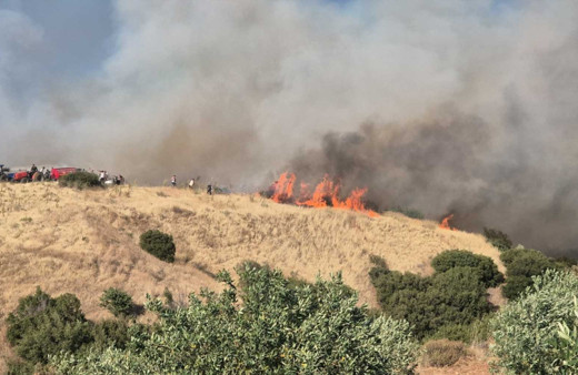 Manisa Ahmetli'de orman yangını: Tahliye başladı