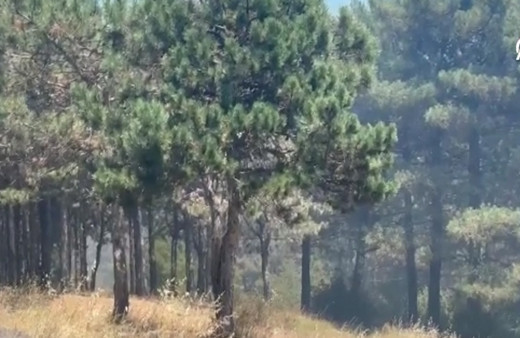 İstanbul'da orman yangını çıktı! Anonslar yapılıyor