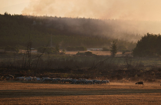 İzmir Buca yangınında son durum! 2 kişi gözaltına alındı