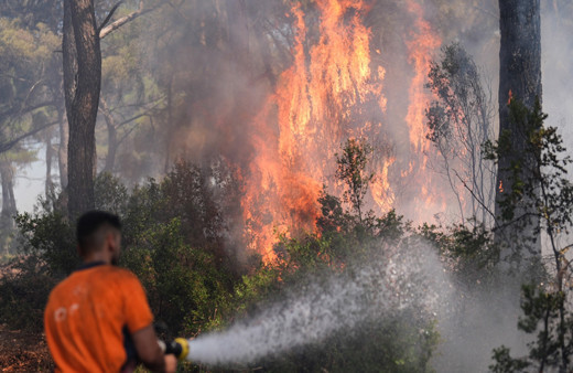 Buca'daki orman yangınına tutuklama! Benzin dökerek...