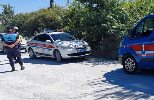 Antalya'da aslan saldırısı! Kaymakam uyardı: "Ormanın içine doğru kaçtı"