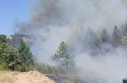 Balıkesir'de orman yangını! Tüm ekipler müdahalesini sürdürüyor...