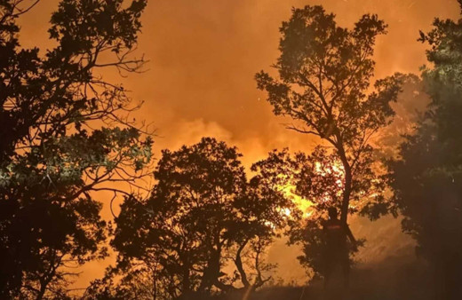 Balıkesir’de orman yangını: 10 helikopterle yangına havadan müdahale