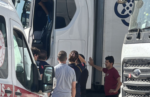 Edirne'de tır sürücüsü gece yattığı aracında ölü bulundu