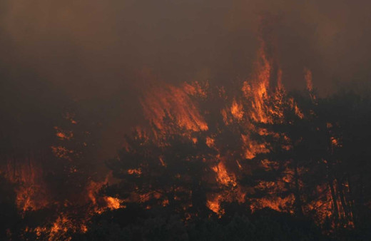 İzmir’de yine orman yangını! Karadan ve havadan müdahale