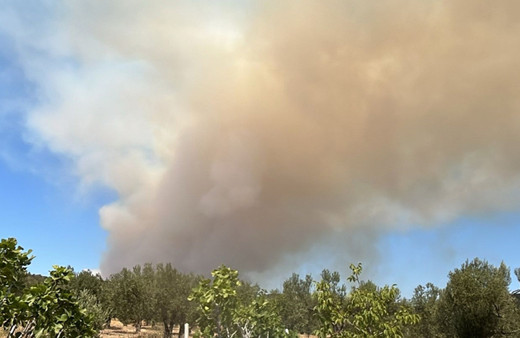 Çanakkale'de ve Bursa'da yangın çıktı! Köyler tahliye ediliyor