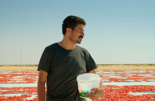 Türkiye'nin Oscar adayı belli oldu