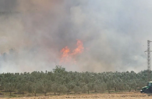 Tekirdağ'da anız yangını paniği: Alevler ormana sıçradı