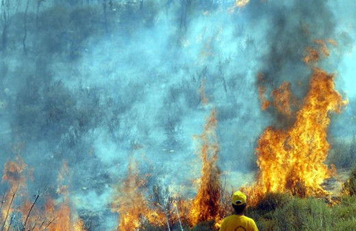 Tarım alanında başlayan yangın ormana sıçradı! Alevler hızla ilerliyor