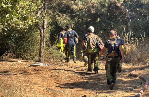 Sultangazi'de orman yangını