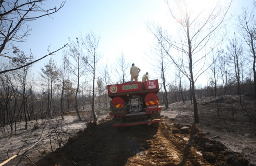 Henüz nedeni belirlenemedi ama... Ortaya çıkan görüntüler yürekleri yaktı...