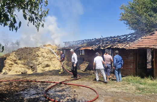 Tokat'ta feci olay! 7 büyükbaş hayvan yangında telef oldu...