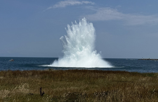 Ordu'da denizde bulunan mayın imha edildi