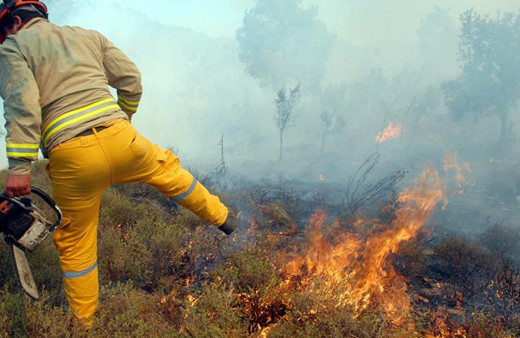 Meteorolojik veriler korkuttu! Bakan Yumaklı uyarı yaptı