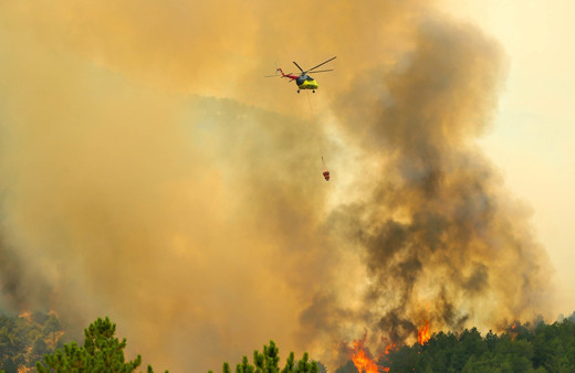 Uşak'ta orman yangını! Alevler rüzgarın etkisiyle hızla ilerledi