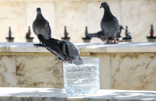 En tehlikeli 24 saat! Uzmanlar bugün dünden beter olacak diyor gölgede 42 derece
