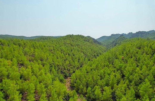 Valilik yeni kararı duyurdu! 1 Eylül'e kadar yasaklandı