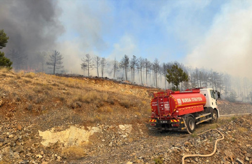 Bursa'da çıkan orman yangınına müdahale ediliyor