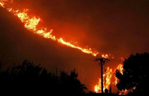 Sicilya'da yangın paniği! Turistler adayı terk etti