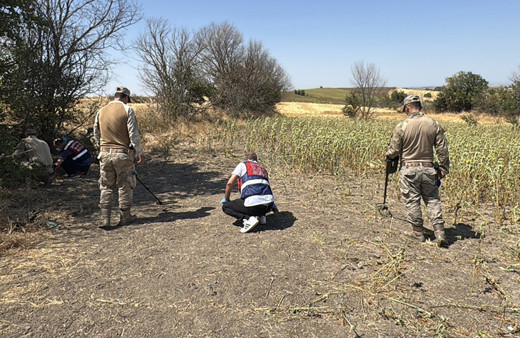 Edirne'de ayçiçeği tarlasında başından vurulmuş kadın cesedi bulundu