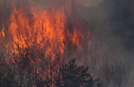 İzmir'de yeni yangın çıktı! Alevler hızla ilerliyor