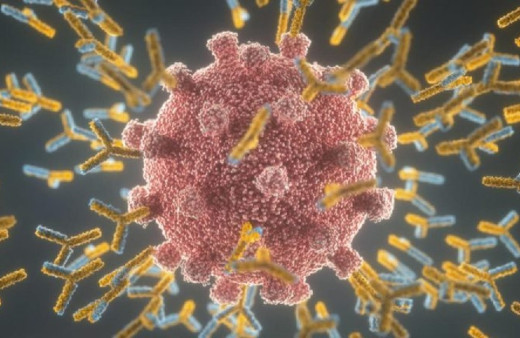 Enfeksiyon belirtisi olan kişileri görmek dahi bağışıklık sistemini harekete geçiriyor