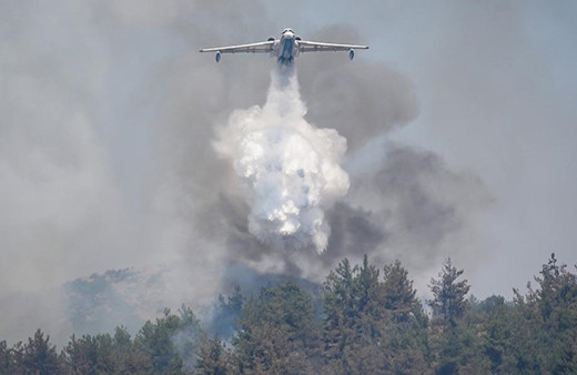 Çankırı'da orman yangını çıktı! Tankerlerle su taşıyorlar...