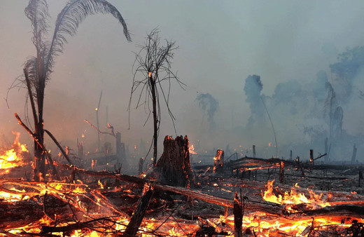 Orman yangınları bilançosu belli oldu! Bakan Yerlikaya il il açıkladı