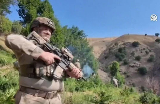 Diyarbakır'da 4 milyon 459 bin kök kenevir ve skunk ele geçirildi