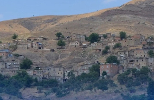 Batman'da akrepler saldırıya geçti! Tek bir ısırıkla hayattan koparıyor...