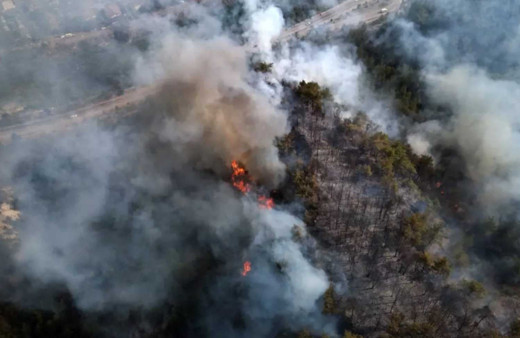 Karabük ve Denizli’de orman yangınları