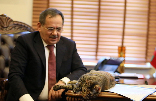 Eski bakan Mustafa Demir hayatını kaybetti