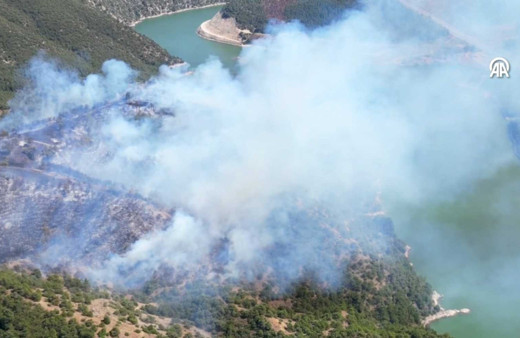 Tokat Erbaa’daki orman yangını kontrol altına alındı