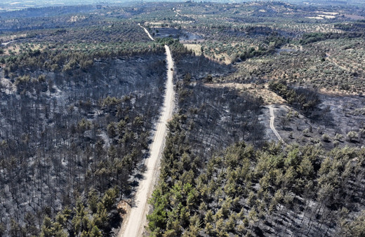 Bakan Kurum'dan Çanakkale'deki orman yangınına ilişkin açıklama
