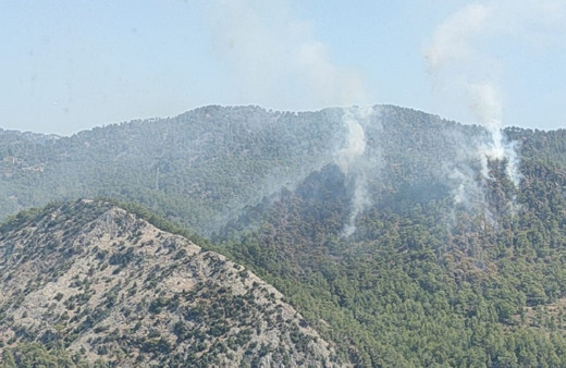Mersin'de orman yangını! Havadan ve karadan müdahale sürüyor...