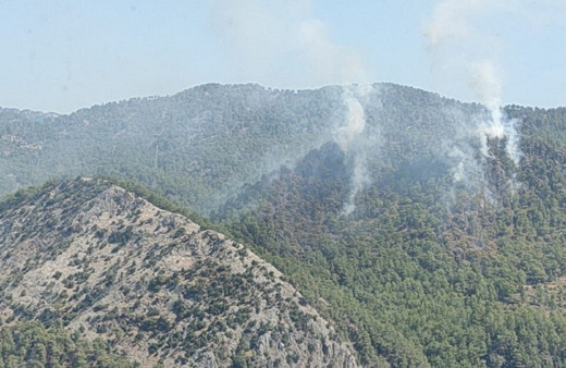 Mersin Bozyazı'da orman yangını! Ekipler yönlendirildi...