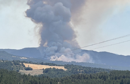 Bolu'da çıkan orman yangınına müdahale sürüyor...