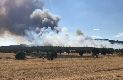 Uşak'ta ormanlık alanda yangın çıktı! Ekipler müdahale ediyor