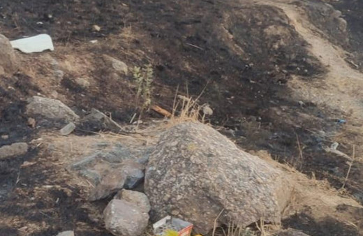 Maltepe'de havai fişek atarak yangın çıkaran zanlı tutuklandı