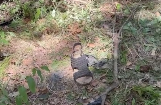 Şile yolunda feci kaza! Yelda öğretmen hayatını kaybetti