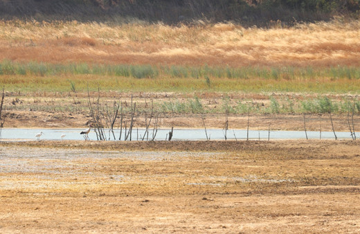 Kriz kapıda! Çeşme'den sonra şimdi de Terkidağ'da durum fena